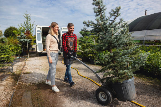 How Our Tree Care Process Works  in  Kimberly, ID